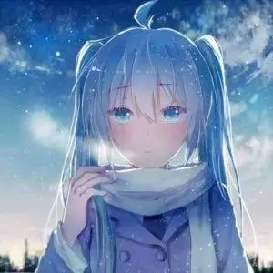 用户木鱼头像
